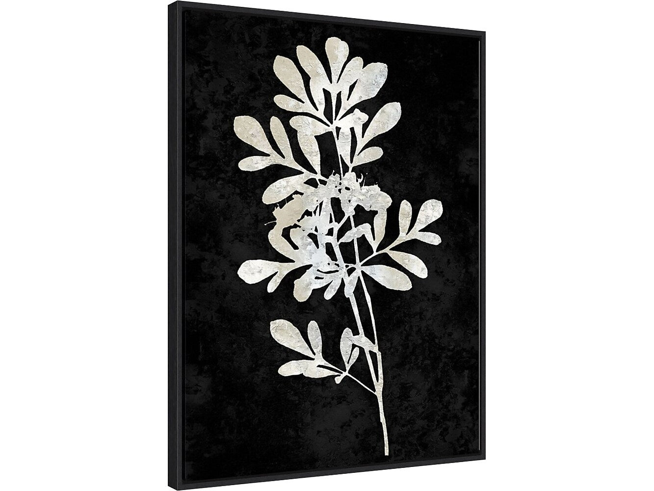 Amanti Art Plant Life White on Black II, Canvas, 23" x 30" (A42675515283)