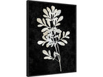 Amanti Art Plant Life White on Black II, Canvas, 23" x 30" (A42675515283)