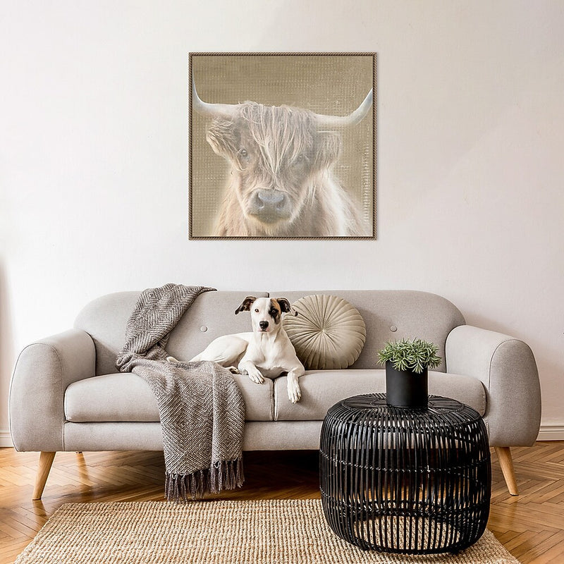 Amanti Art Soulful Bull by Patricia Pinto Framed Canvas Wall Art Print, 30" x 30" (A42678299508)