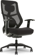Beautyrest Duo-EX Ergonomic Mesh Swivel Task Chair, Black/Gray (60051GRY)