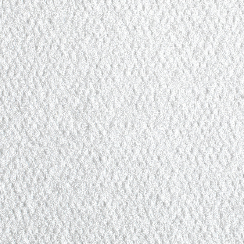 Pacific Blue Select Patient Care Single Fold Paper Towels, 1-ply, 55 Sheets/Pack, 24 Packs/Carton (29506)