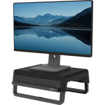 Fellowes Breyta Adjustable Monitor Stand, Black (100098502)