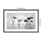 Amanti Art Waving Trees by Steven Fudge Wood Framed Wall Art Print, 41" x 27" (A42675533675)