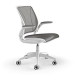 Humanscale Diffrient World Ergonomic Mesh Swivel Task Chair, White/Black (W11BN10N10SHNSC)