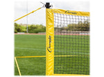 Champion Sports Deluxe Badminton Tournament Set, Multicolor (CG203)