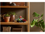 LEGO Icons Botanical Collection Succulents, 771 Pieces (10309)