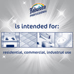 Fabuloso Professional All Purpose Cleaner & Degreaser, Ocean Scent, 1 Gal., 4/Carton (US05252A)
