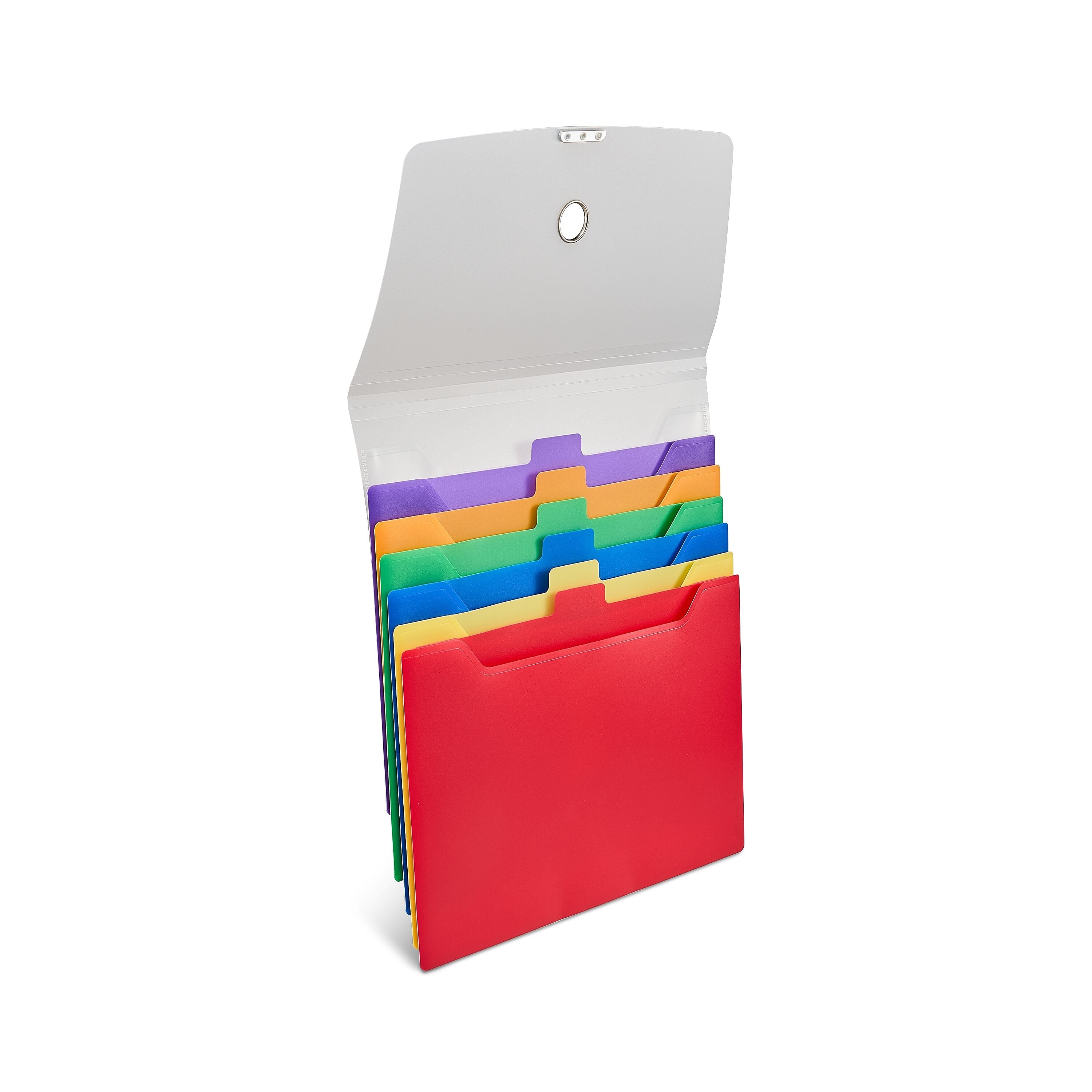 Staples Plastic Accordion File, 6-Pocket, Letter Size, Multicolor (TR51848)