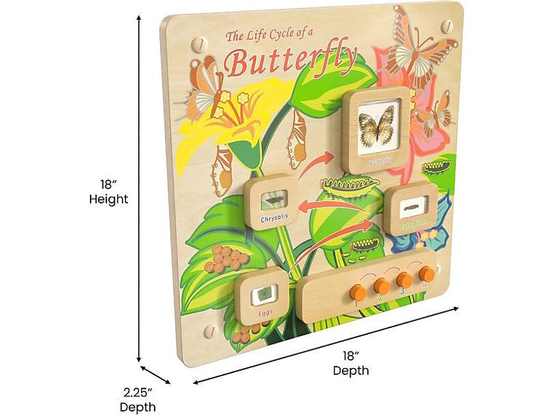Flash Furniture Bright Beginnings Butterfly Life Cycle Wall Activity Board (MK-ME12883-GG)
