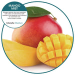 Boardwalk Anti-Splash Urinal Screen, Mango Mist Scent, Orange, 10/Box (WCBX-P-010I010I-04-AAS80-)