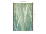 Amanti Art Abstract Grass, Canvas, 23" x 33" (A42675515543)