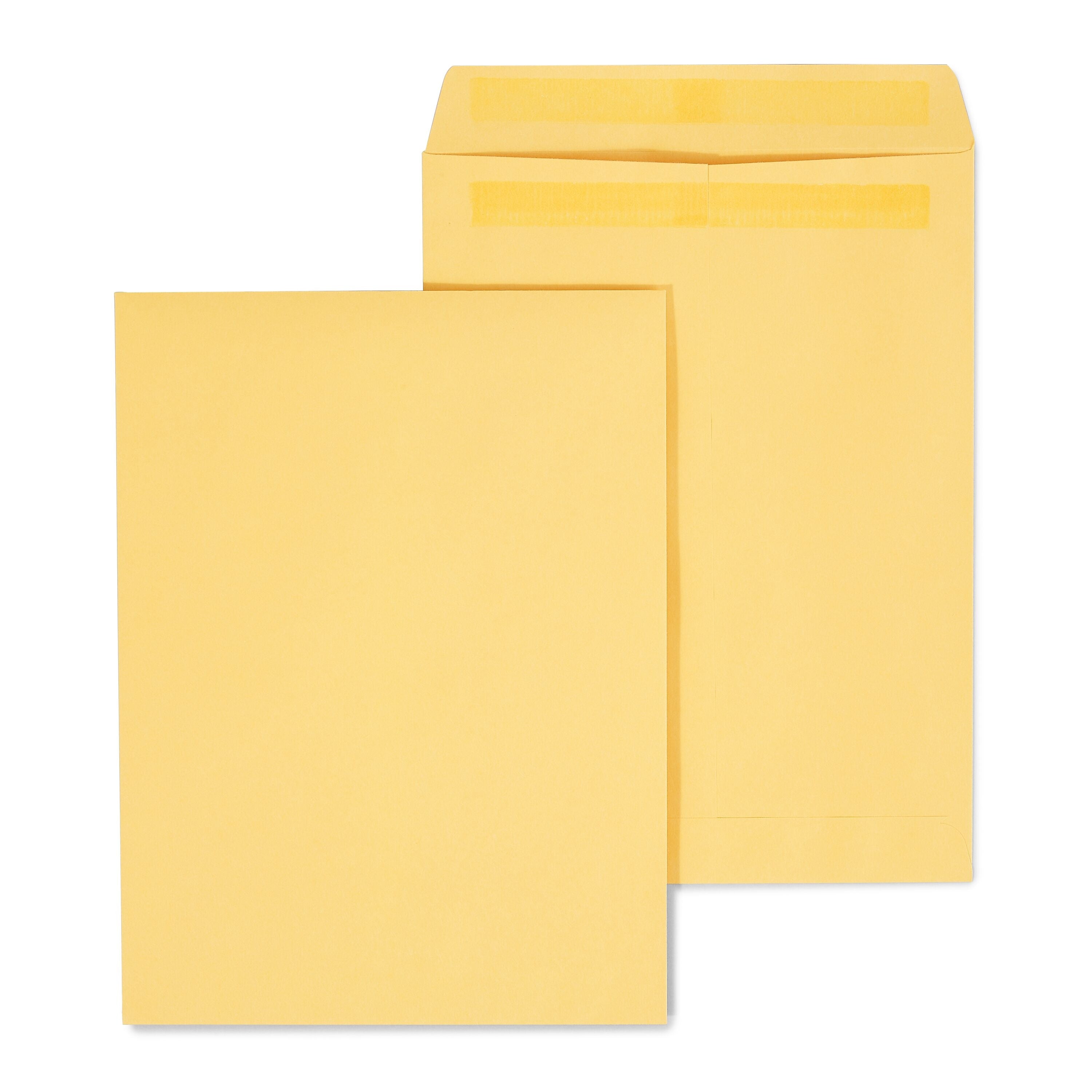 Staples Self Seal Kraft Catalog Envelopes, 9"L x 12"H, Brown, 100/Box (534800/17104)