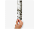 RoomMates Peel and Stick Giant Wall Contemporary Decals, Botanical, 14/Pack (RMK3848GM)