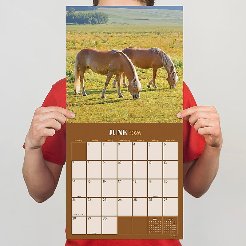 2026 TF Publishing Horses 12" x 12" Monthly Wall Calendar (26-1012)