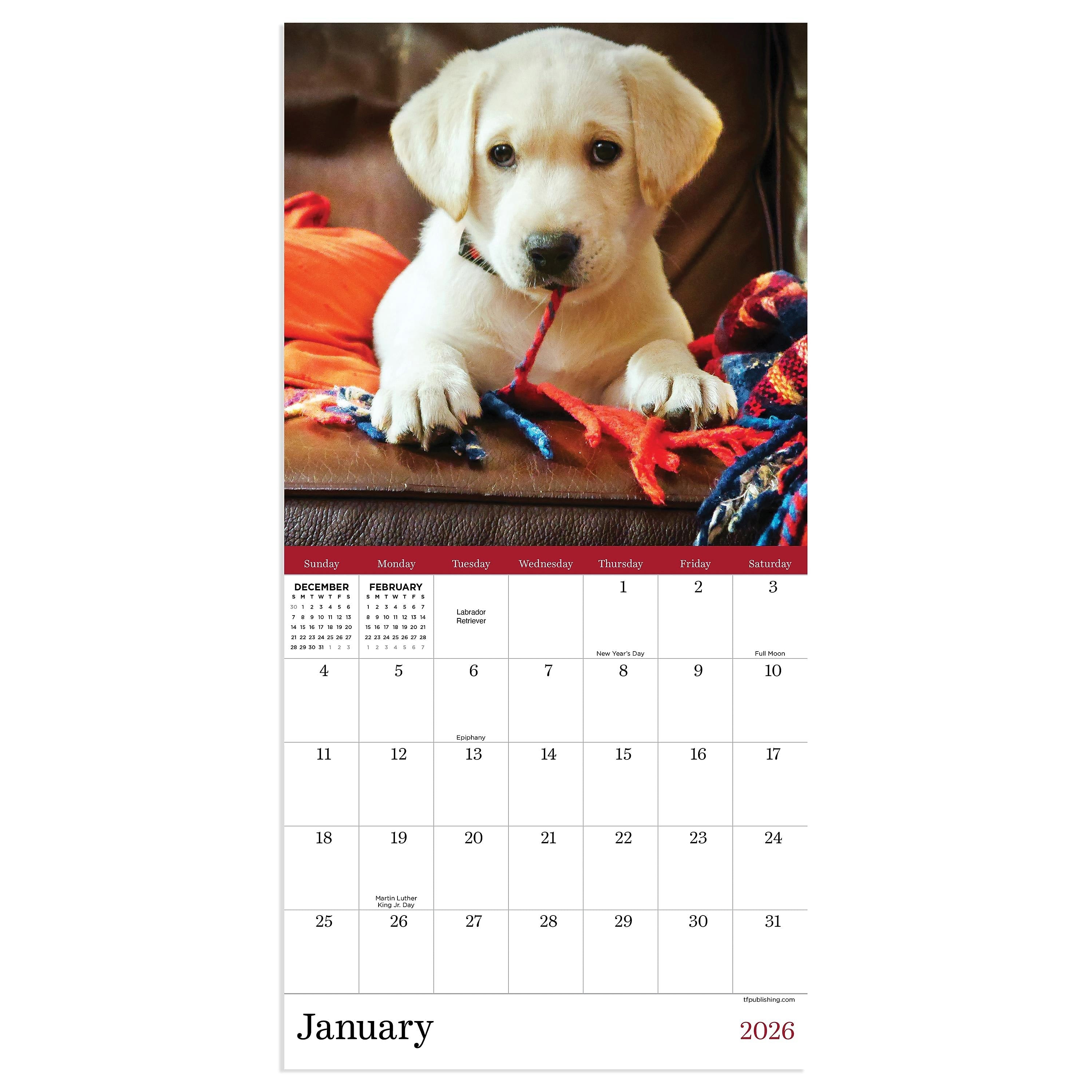 2026 TF Publishing 12" x 17" TF Publishing 7" x 7" Puppies Mini Calendar 26-2007