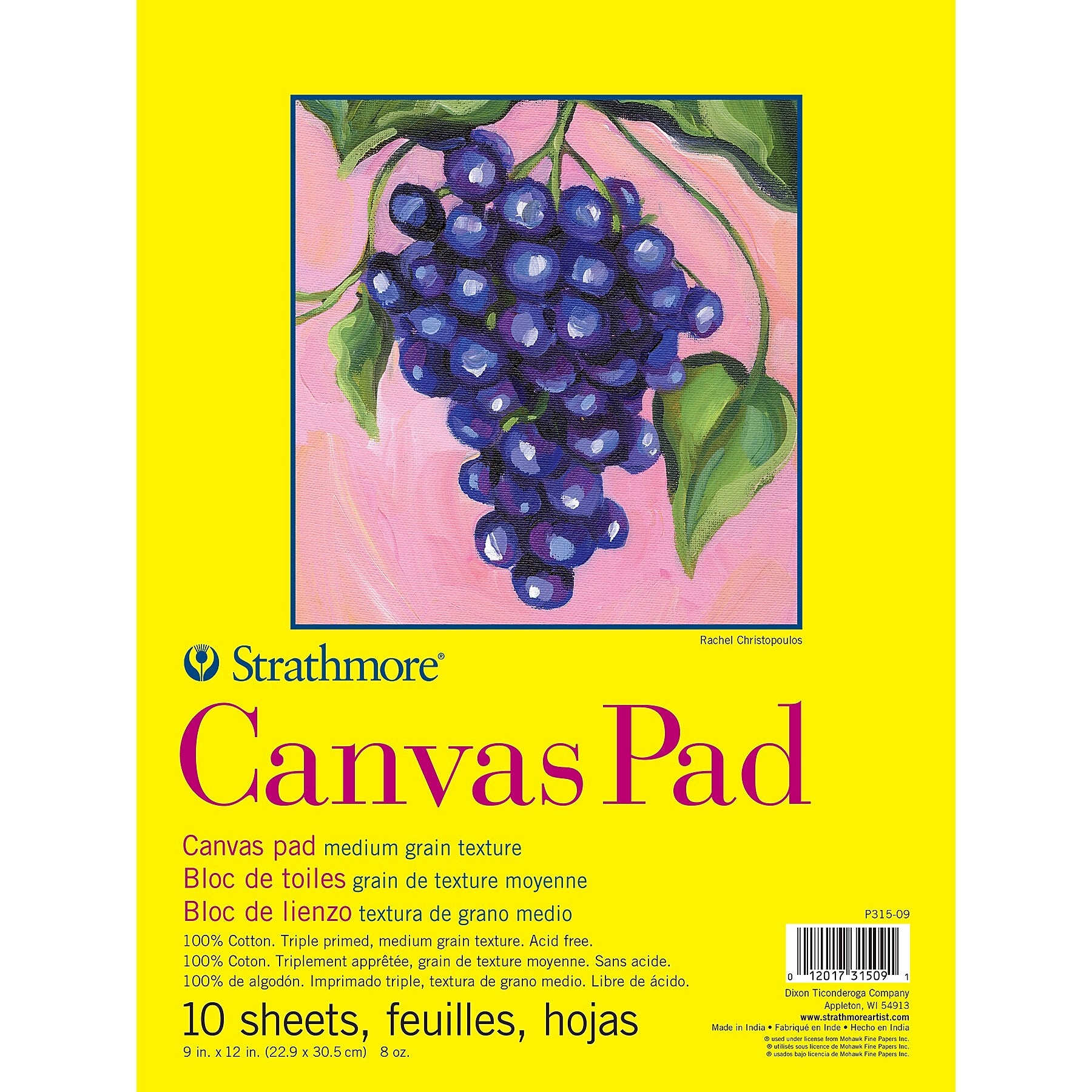 Strathmore 300 Series 9" x 12" Tape Bound Canvas Pad, 10 Sheets/Pad, 2 Pads/Bundle (STTP31509-2)