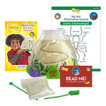 Insect Lore Ant Hill Ant Habitat (ILP5530)
