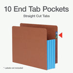 Pendaflex File Pocket, 3 1/2" Expansion, Letter Size, Brown/Blue, 10/Box (1007026)