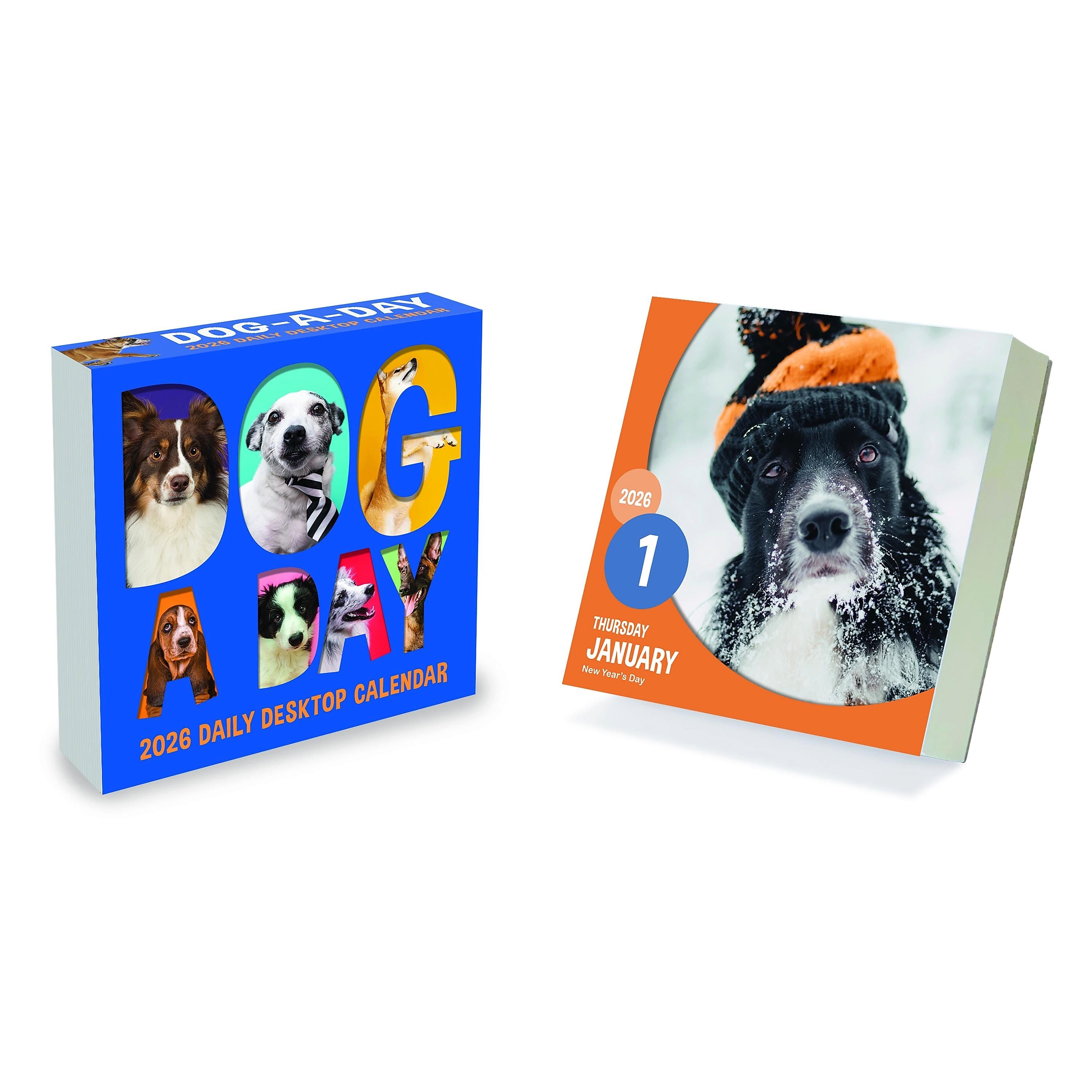 2026 TF Publishing 5.25" x 5.25" Daily Day-to-Day Calendar, (26-3008)