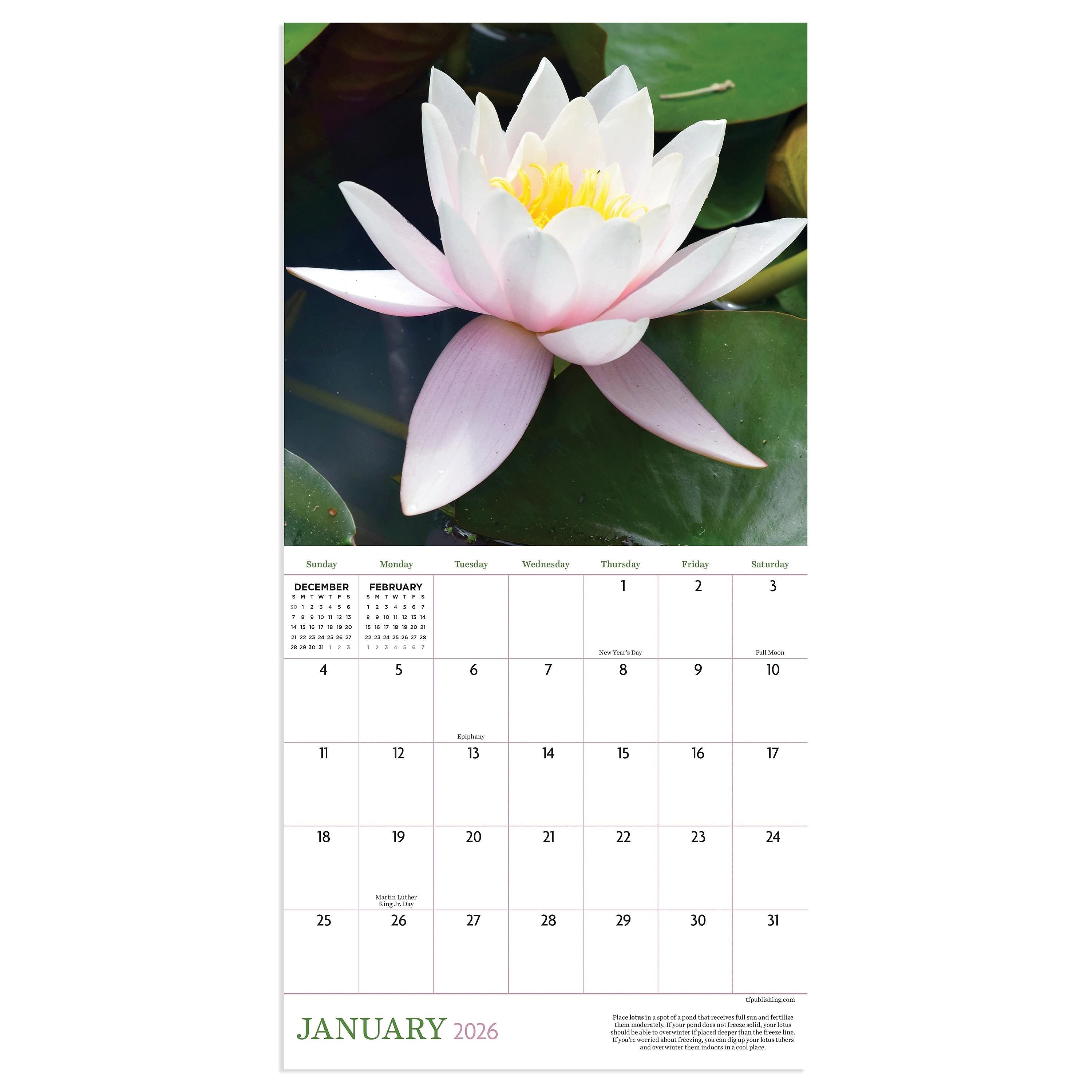 2026 TF Publishing 12" x 17" TF Publishing 7" x 7" Flowers Mini Calendar 26-2014