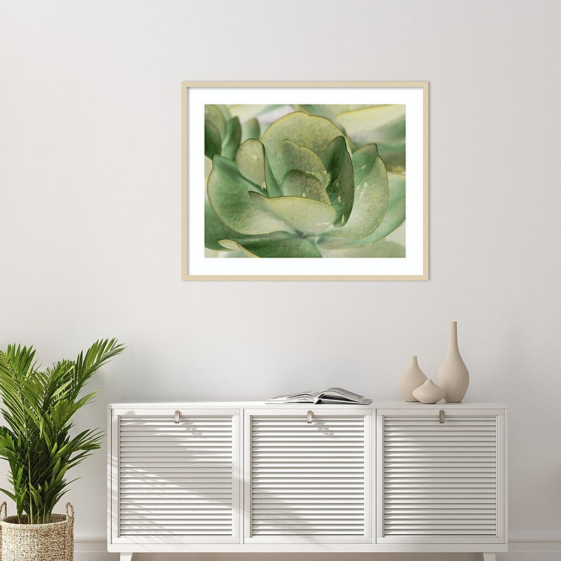 Amanti Art Petal I by Tang Ling Wood Framed Wall Art Print, 41" x 33" (A42675533997)