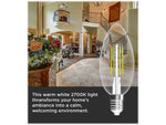 Viribright 2.5-Watts Daylight LED Specialty Bulb, 12/Pack (650194)