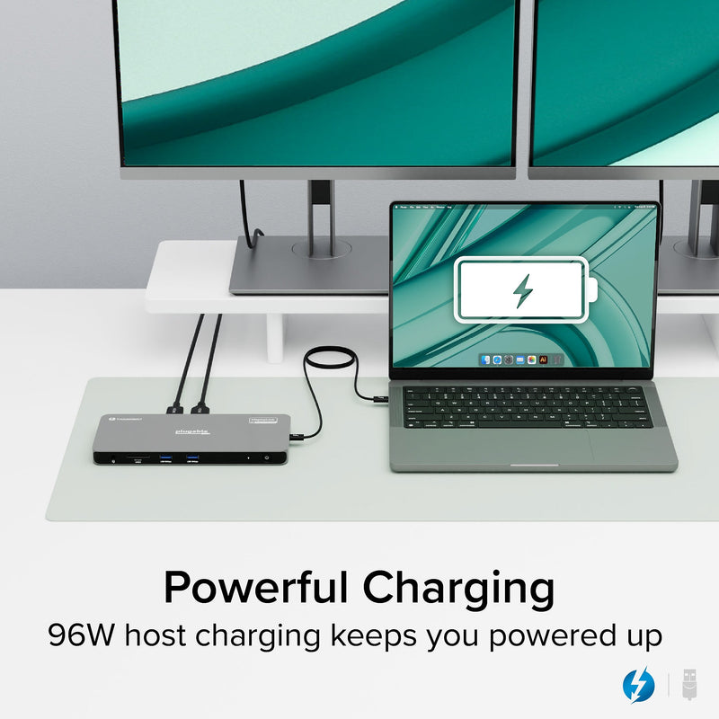 Plugable 5-in-1 Thunderbolt Universal Docking Station, Gray (TBT-6950PD)