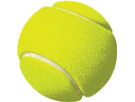 Champion Sports Tennis Net Set, Multicolor (PTNSET)