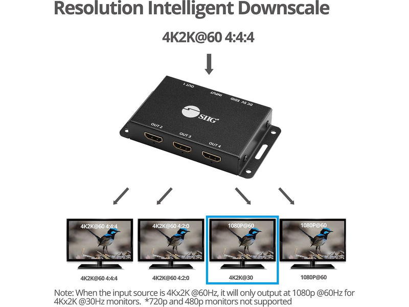 SIIG CE-H23L11-S1 Mini Splitter Amplifier, Black