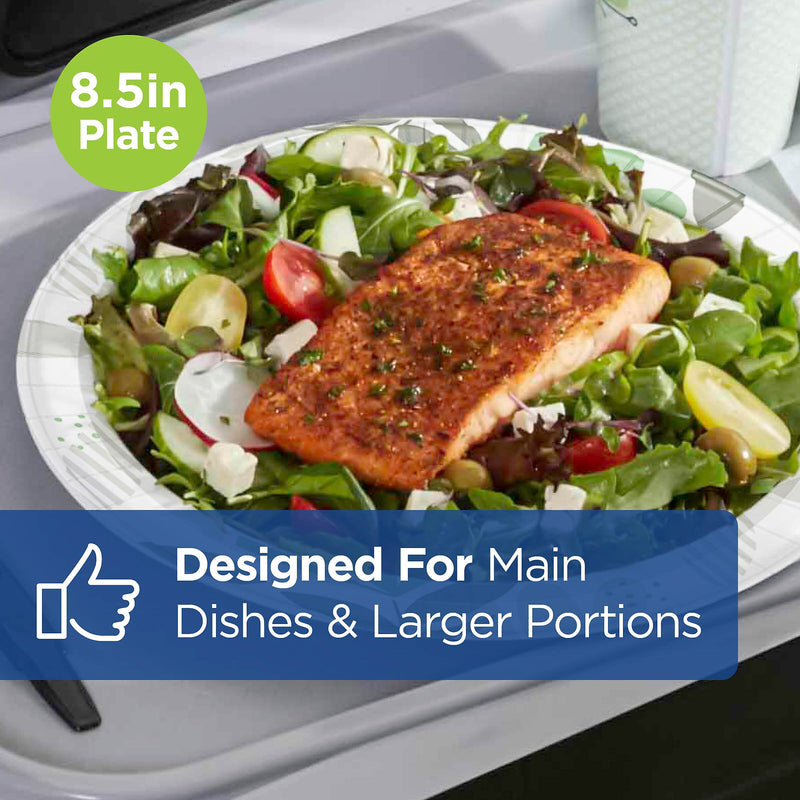 Dixie Ultra Pathways 8.5" Paper Plates, Multicolored, 125 Plates/Pack (SXP9PATH)