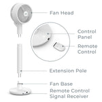 Pure Enrichment 2-in-1 Oscillating Floor Fan, 10-Speed, White (PEFANDUO)