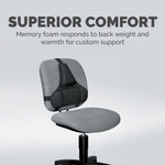 Fellowes Professional Back Support, Black (8037601)