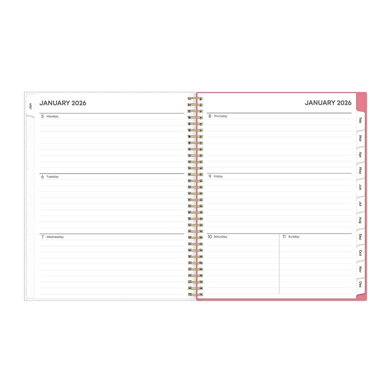 2026 Blue Sky Fly By 8.5" x 11"  Weekly & Monthly Planner, Plastic Cover, Multicolored (140195-26)