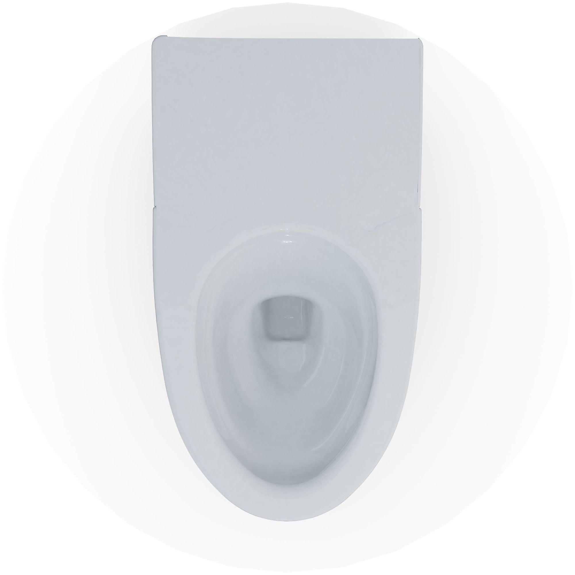 Toto Neorest 1 gal Dual Flush White Toilet (CT8732CUMFG#01)