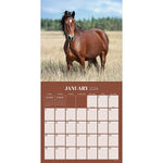 2026 TF Publishing Horses 12" x 12" Monthly Wall Calendar (26-1012)