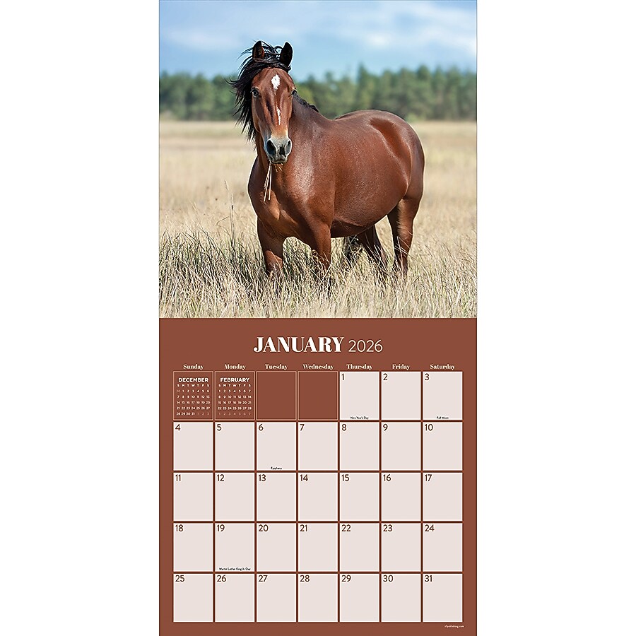 2026 TF Publishing Horses 12" x 12" Monthly Wall Calendar (26-1012)