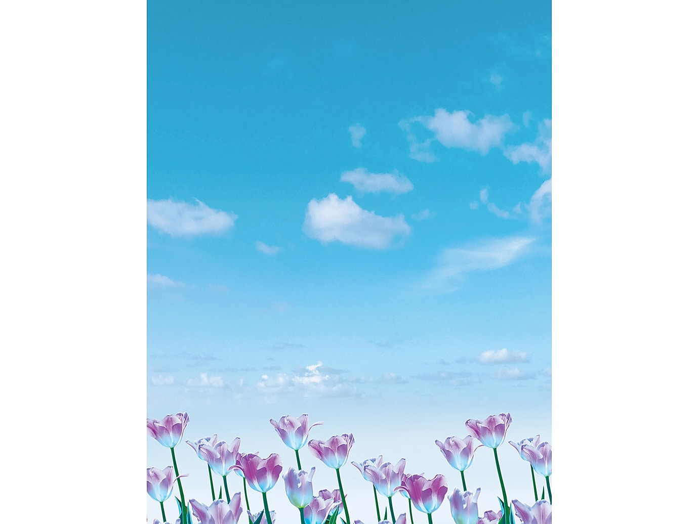 Great Papers Tulips Field Letterhead, Multicolor, 50/Pack (2023073)