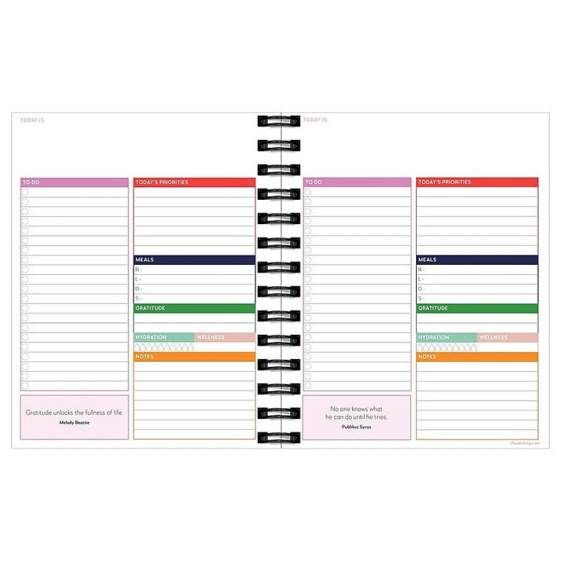 TF Publishing Luxe 8.5" x 9" Daily & Monthly Planner, Paperboard Cover, Multicolored (99-9902)