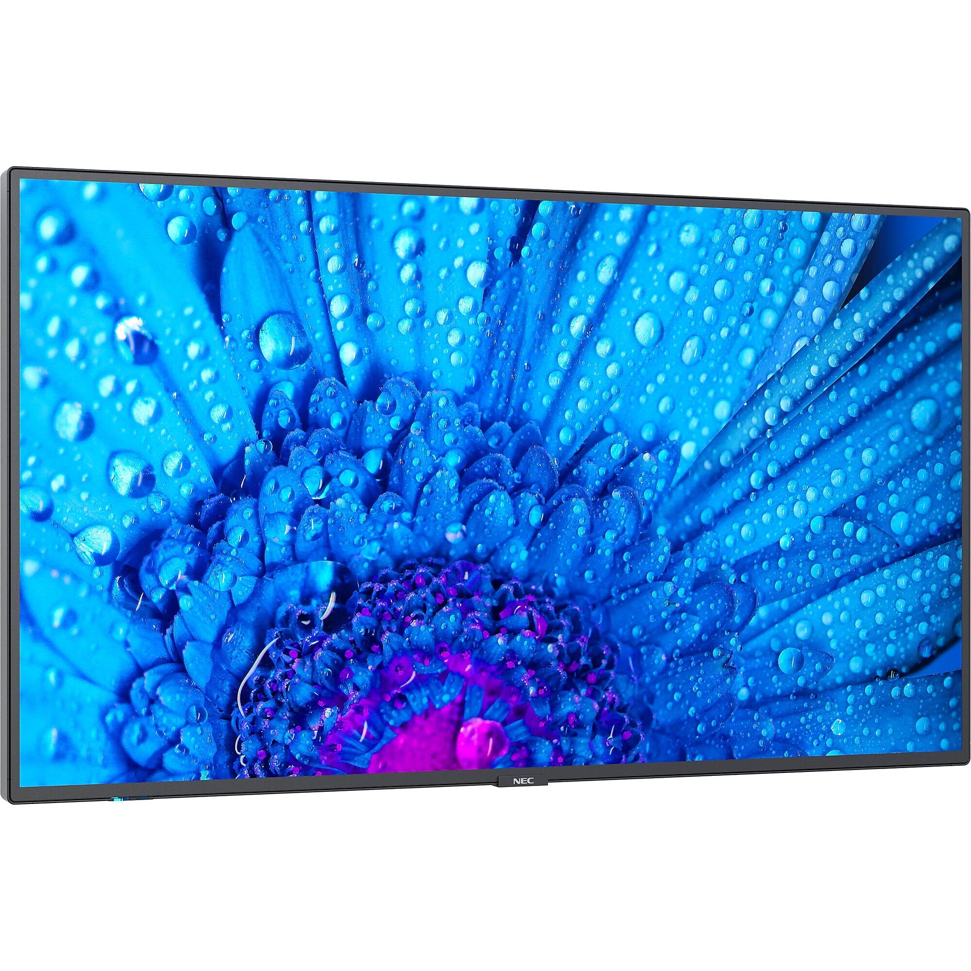 Sharp M 43" Wall Mountable Signage/Media Player for Digital Signage (M431-2)