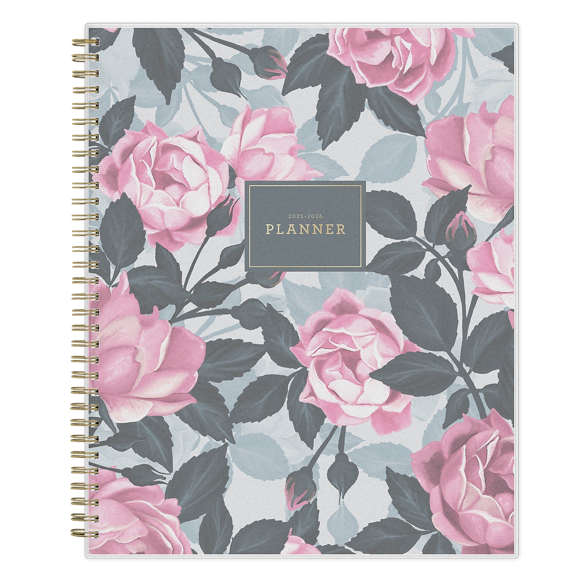 2025-2026 Blue Sky Roosevelt 8.5" x 11" Academic Year Weekly & Monthly Planner, Plastic Cover, Multicolored (128691-A26)