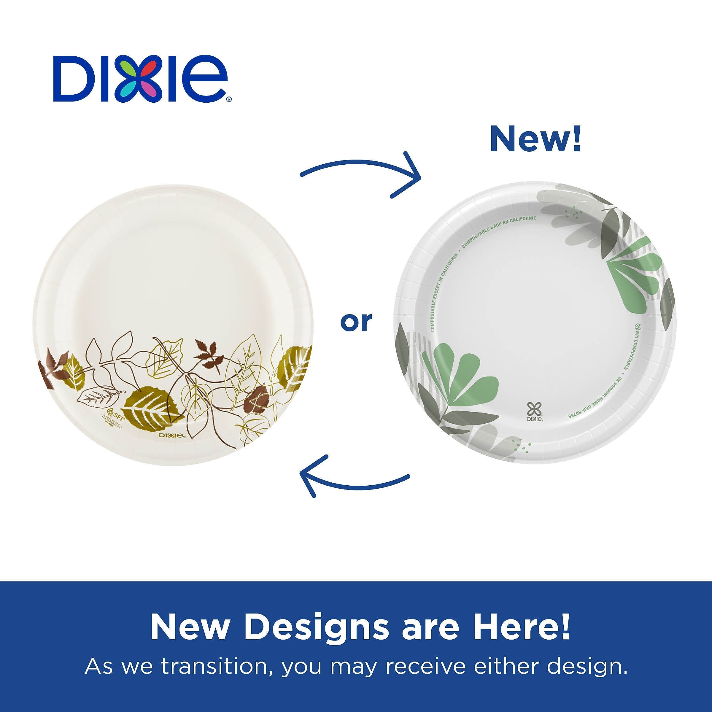 Dixie Pathways 6.8" Paper Plates, Multicolored, 500/Carton (UX7WS)