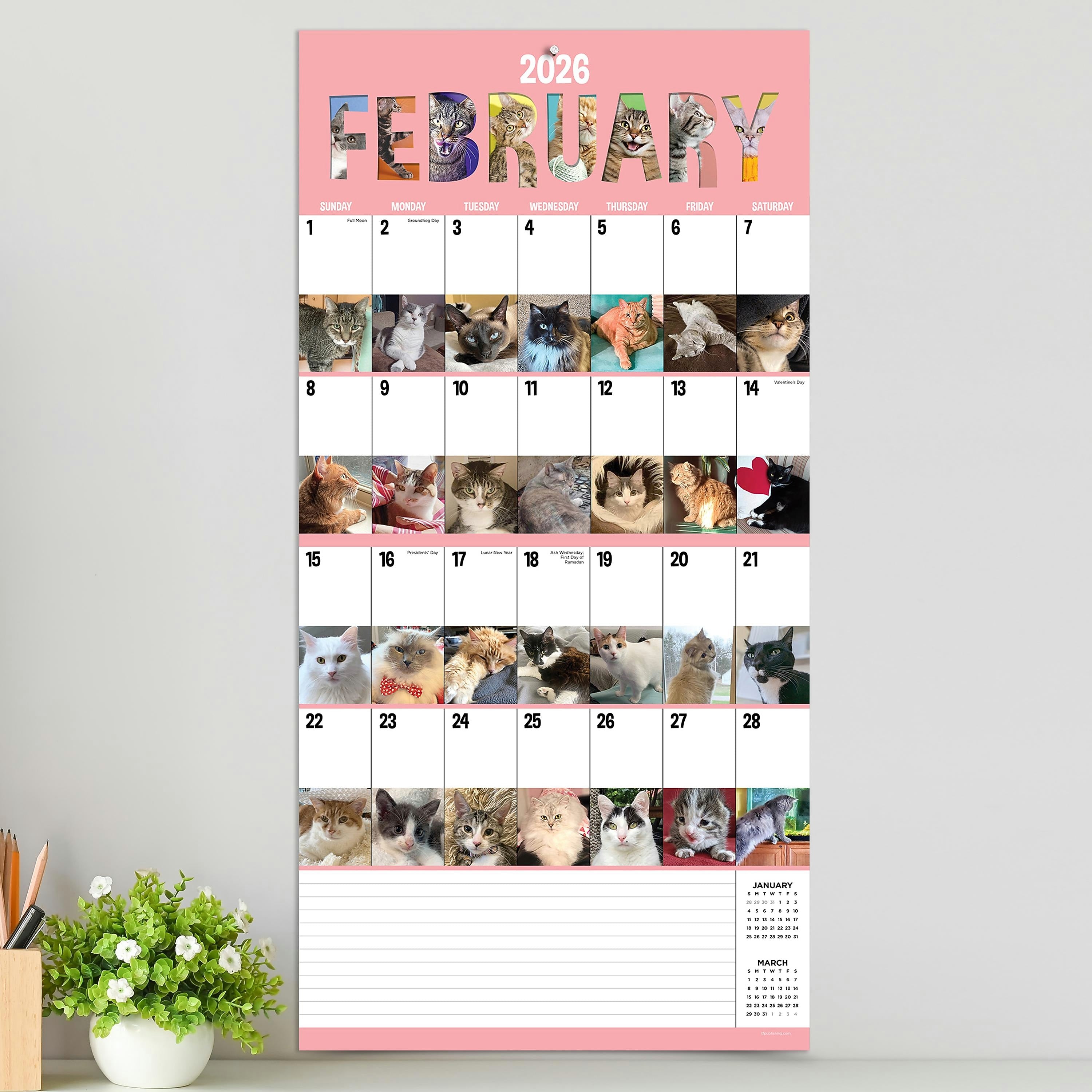 2026 TF Publishing Cat-A-Day 12" x 12" Monthly Wall Calendar, Multi (26-1002)