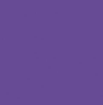 Color-Brite Construction Paper, 18" x 24", Purple, 50 Sheets/Pack (5710PE)