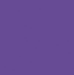 Color-Brite Sulphite Construction Paper, 12 X 18, Purple, 50 Sheet/Pack (5700PE)