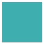 Rust-Oleum Painter's Touch 2X Ultra Cover Spray Paint, St. Tropez, 12 oz., 6/Carton (331175)