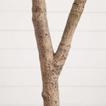Nearly Natural 8' Autumn Maple Artificial Fall Tree (T4811)