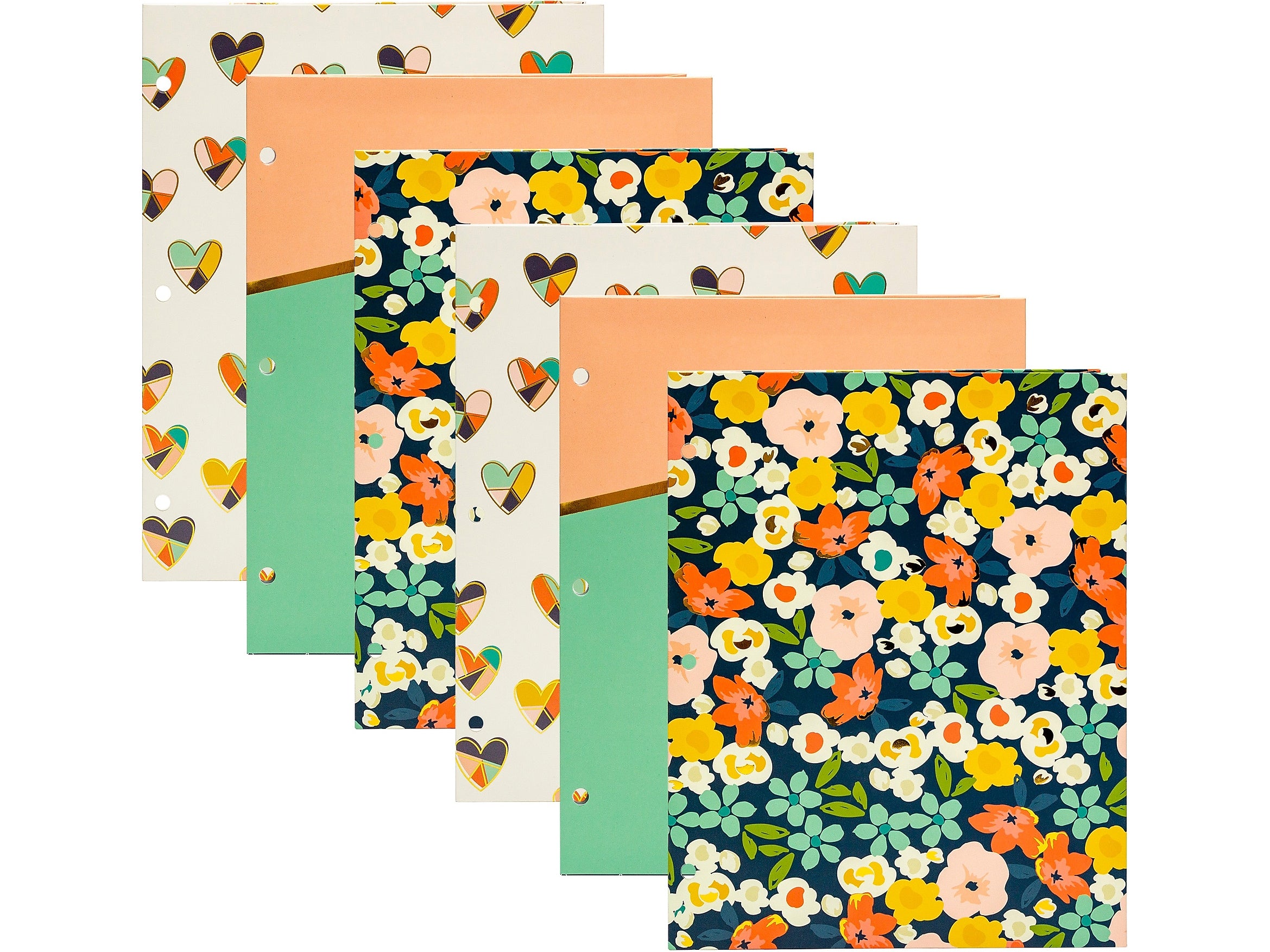 Pukka Pad Carpe Diem Floral Love 3-Hole Punched 2-Pocket Portfolio Folders, Assorted Colors, 6/Pack (9098-CD)