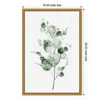 Amanti Art Tender Sprout I (Eucalyptus) by Eva Watts Framed Canvas Wall Art Print, 16" x 23" (A42675040760)