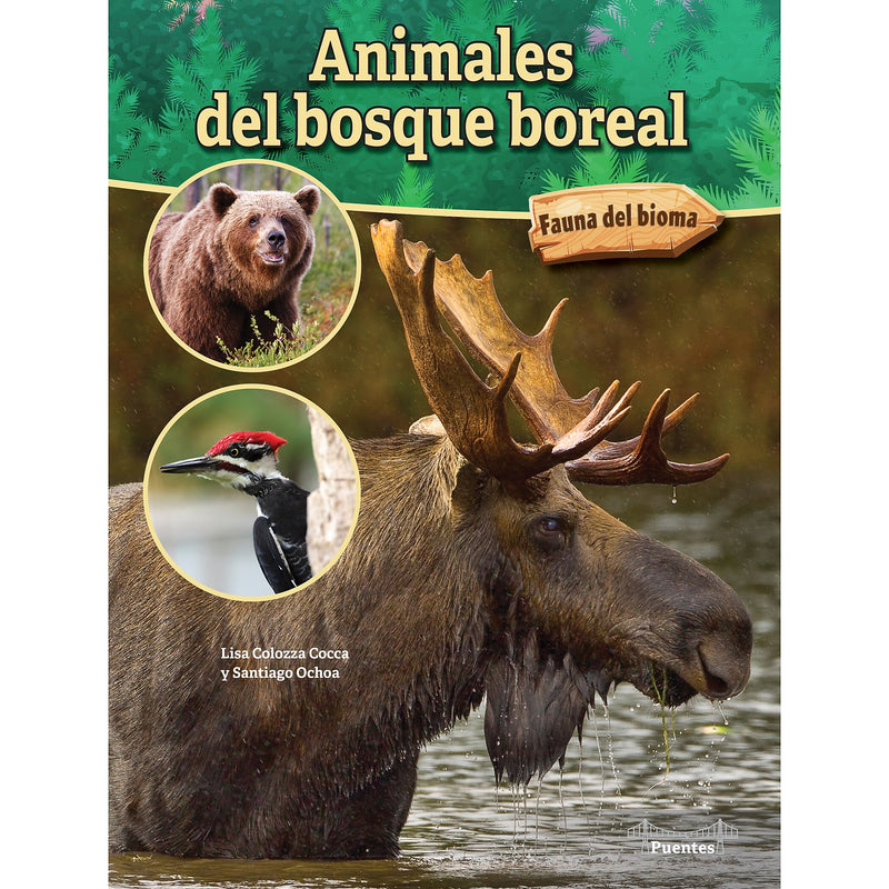 Carson-Dellosa Bridges Animales del bosque boreal, Hardcover (CD-9781731654601)