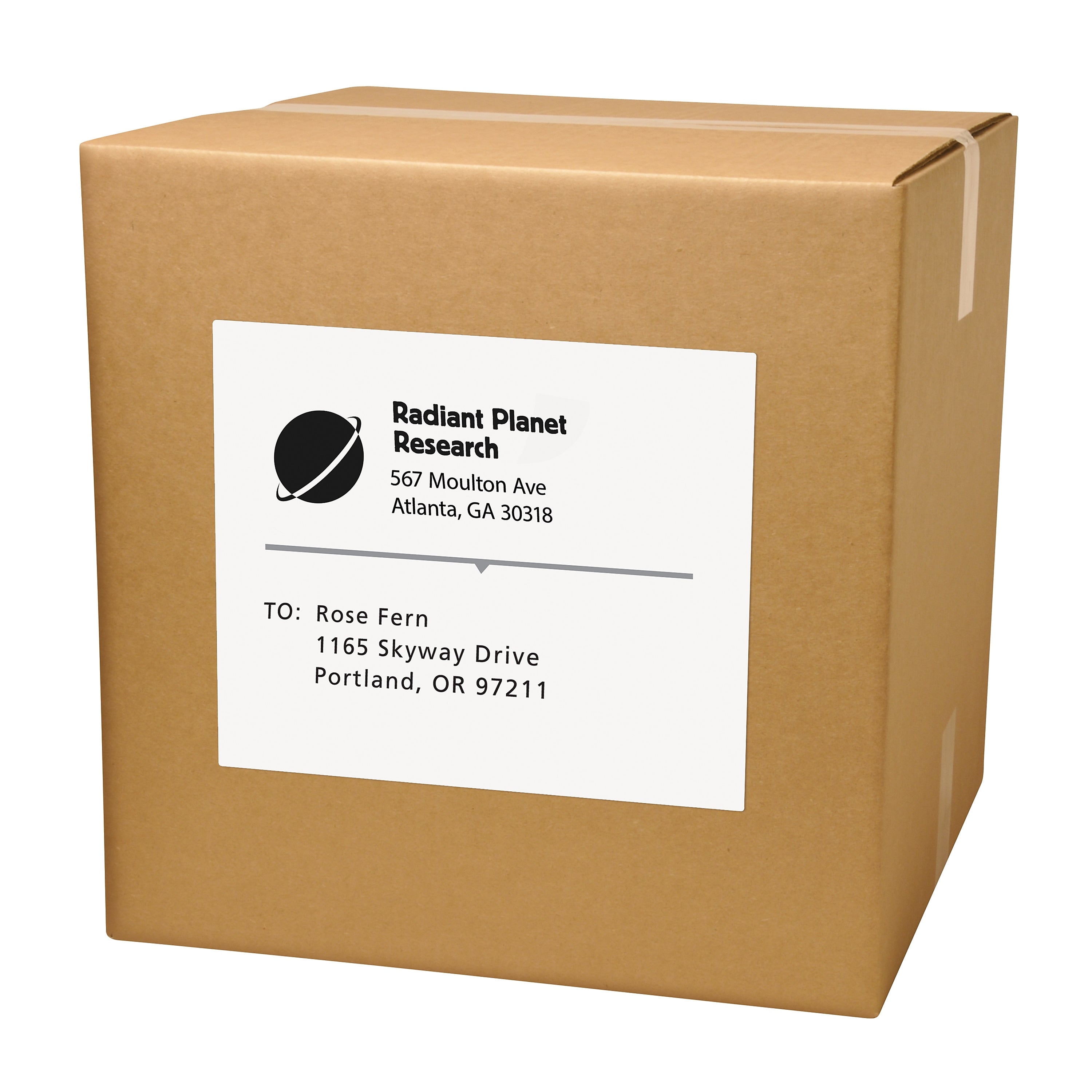 Avery Copier Shipping Labels, 8-1/2" x 11", White, 100 Labels/Box (5353)